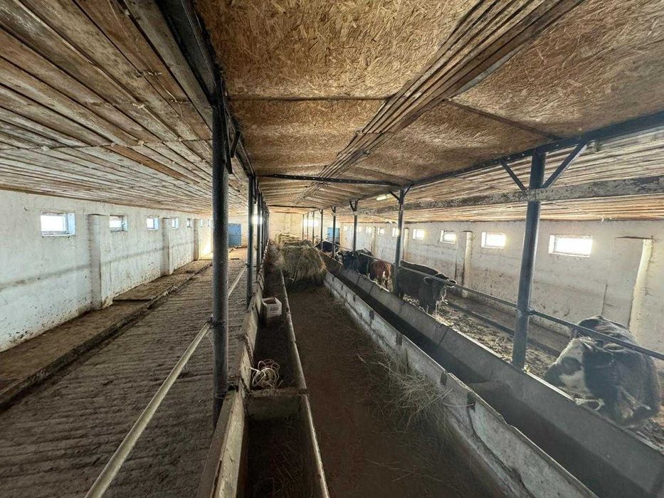 Сельское хозяйство продается ферма