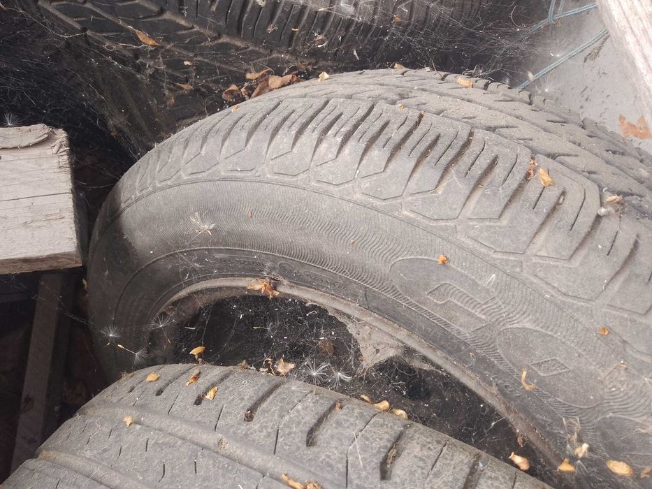 Cauciucuri și genti opel și logan