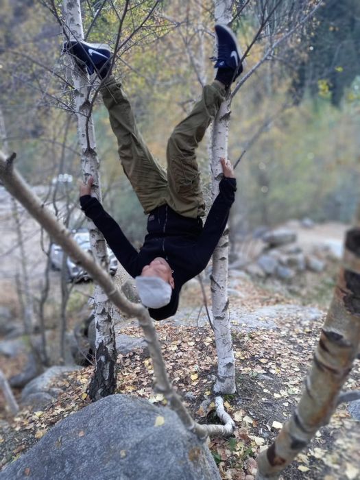 Спил вывоз выкарчёвка деревьев