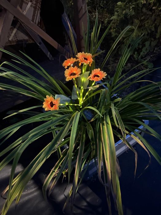 СРОЧНО Дача Легенда озеро Пестрое