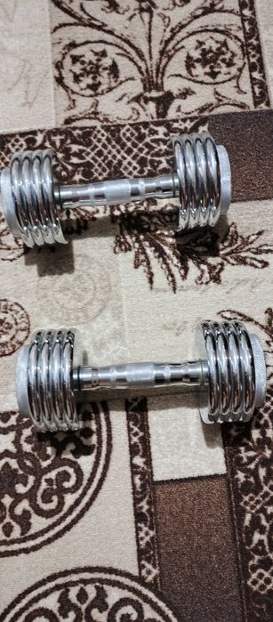 Гантели разборные