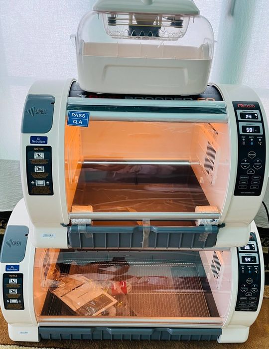 Inkubator va Bludur Original