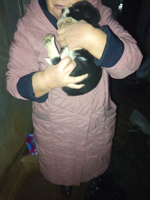 Даром мальчик 5мес