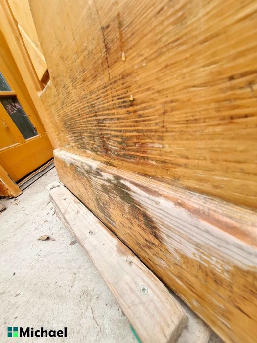 Usa intrare lemn masiv,Austria(Christian 5441)