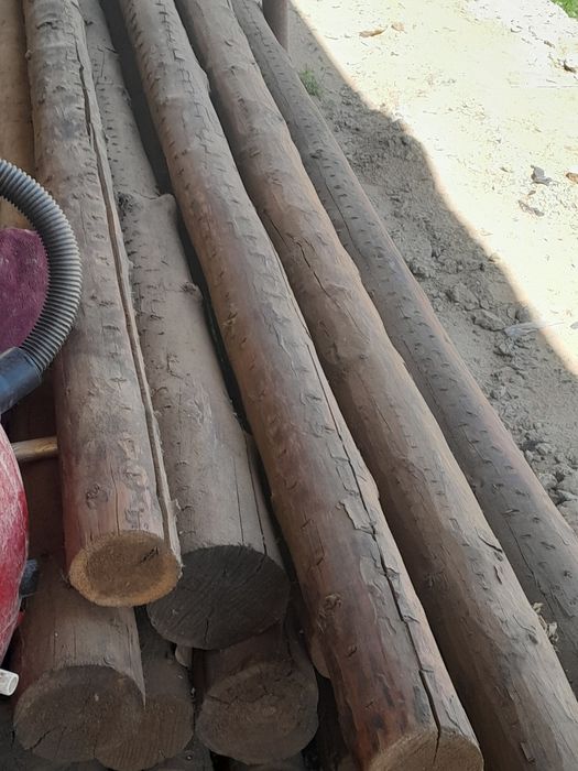 Кругляк Агаш сатылады