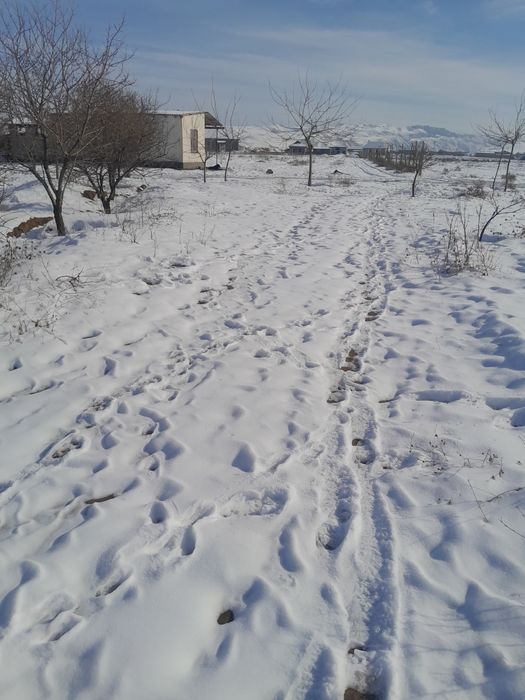 Йер учаскаси 10 сотих келишиьган холда