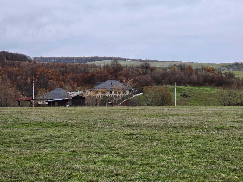 PARCELE INTRAVILAN M. Dragomirnei 11ari/.10ari/.9,2 ari zona MANASTIRE