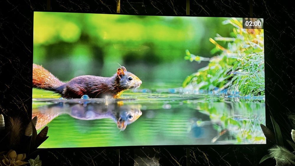 телевизор сони 215 см