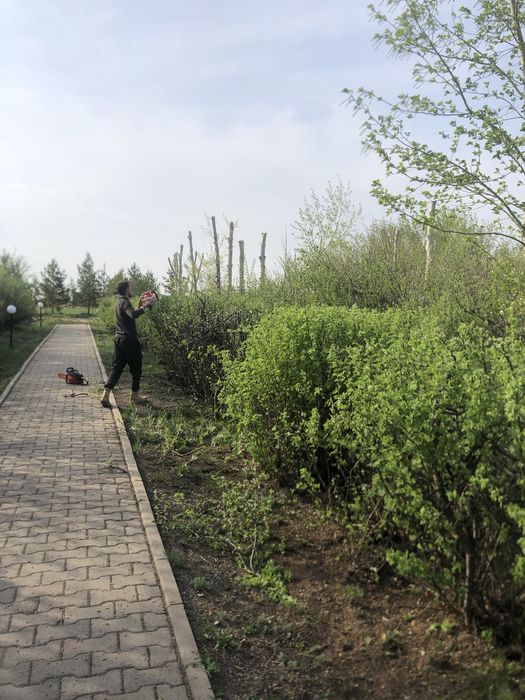 Спил деревьев,подрезка, кронирование!