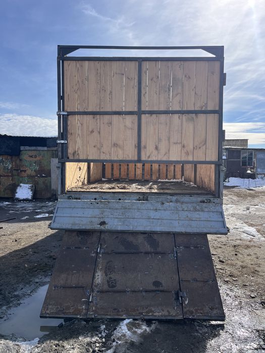 Скотовоз.              любой.               категории.