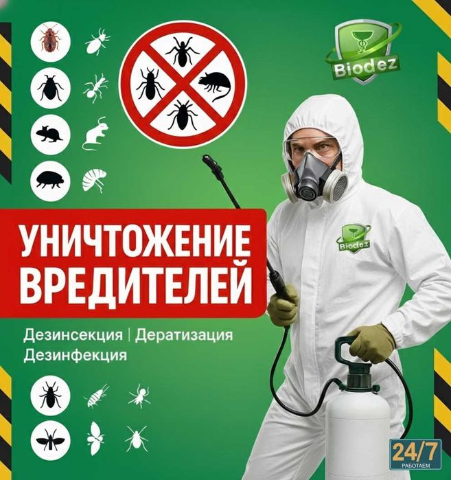 Дезинфекция избавим от клопов тараканов клещей муравьев ос крыс мыщей