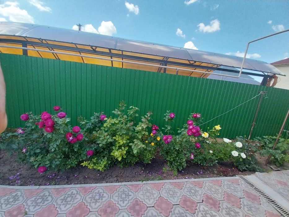 Отдельно стоящий дом