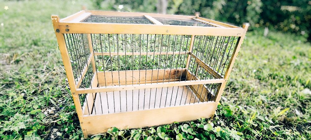 Клетка для канареек