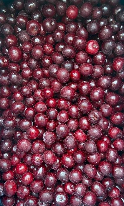 Замороженная вишня | Olcha