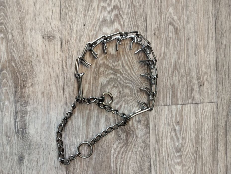 Ошейники для собак