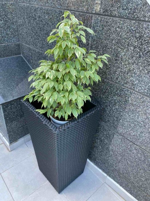 Кашпа за цветя,Ратанова кашпа,Саксия,Външна кашпа,мебел,луксозна