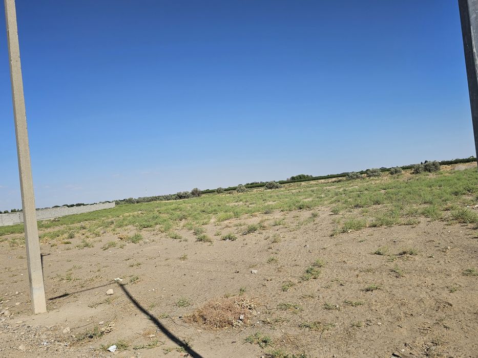 Участки в Туркестане