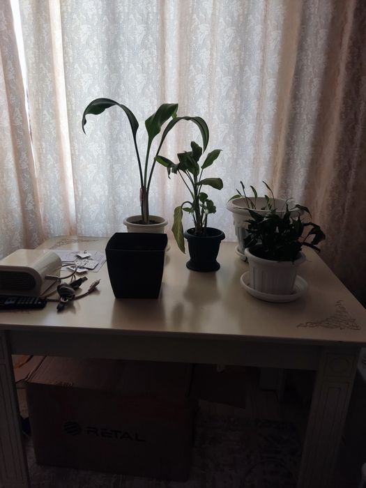 Стол большой для зала