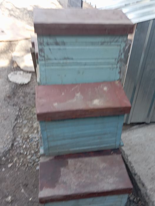 Продам нуклеусы для пчел