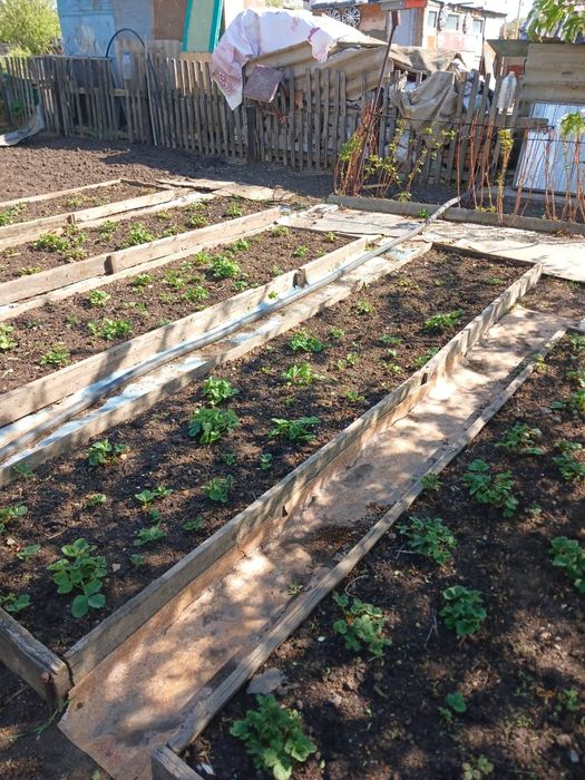 Домик на данном массиве