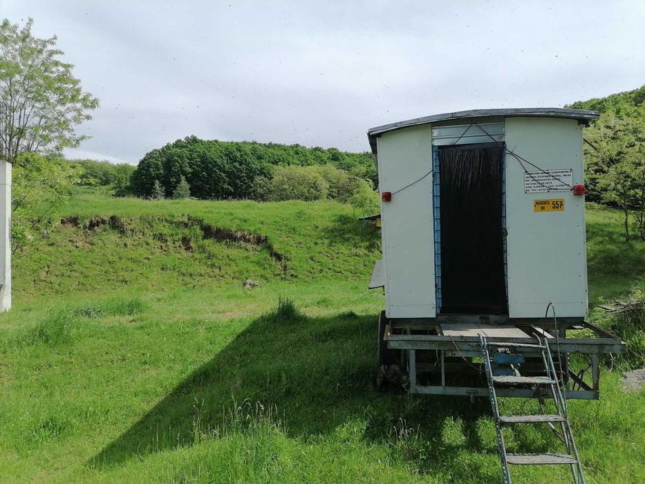 Vând 2 pavilioane Apicole 50 fam sau schimb