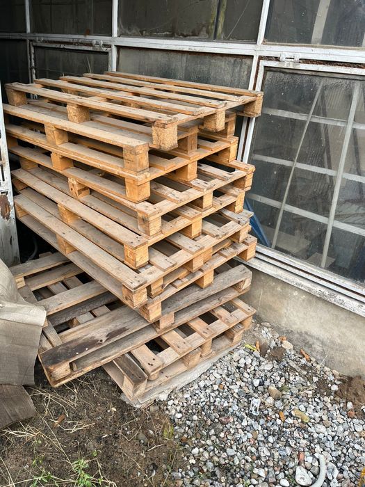 Поддоны примерно 50-60 шт