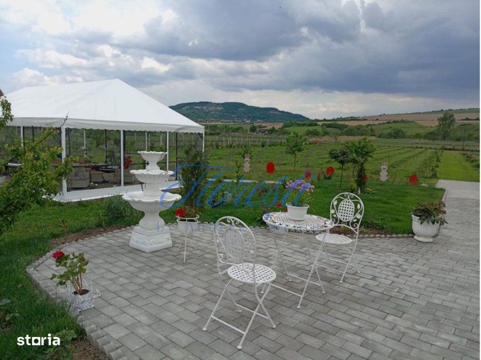 Casa 3 camere + plantatie de zmeura, 200 mp, Fodora, Cluj