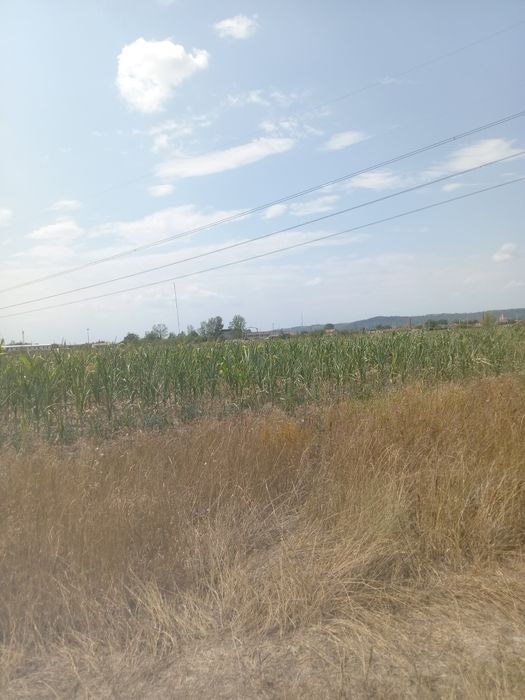 Teren în Osorhei