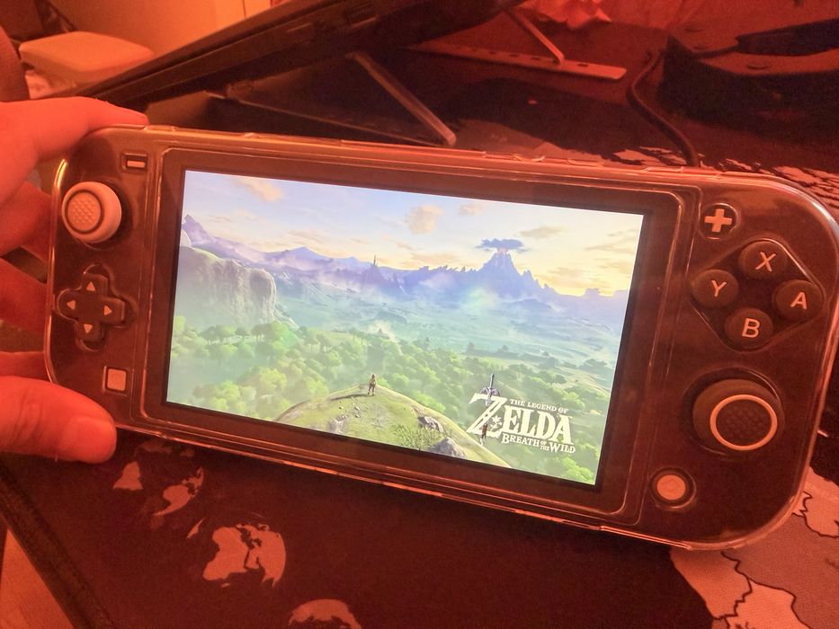 Nintendo switch lite прошитая
