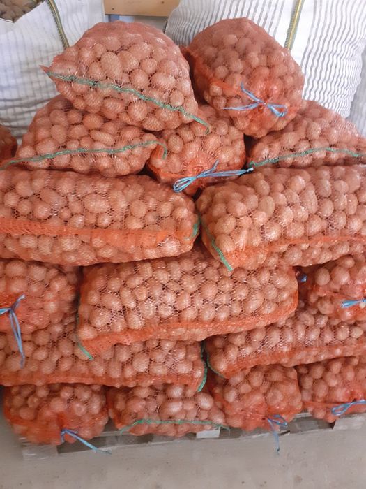 Cartofi de sămânța de vânzare