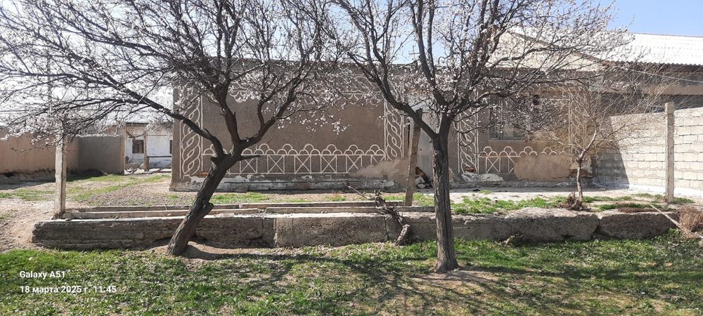 Gijduvon bogdorchlik safxuzi xovli sotiladi