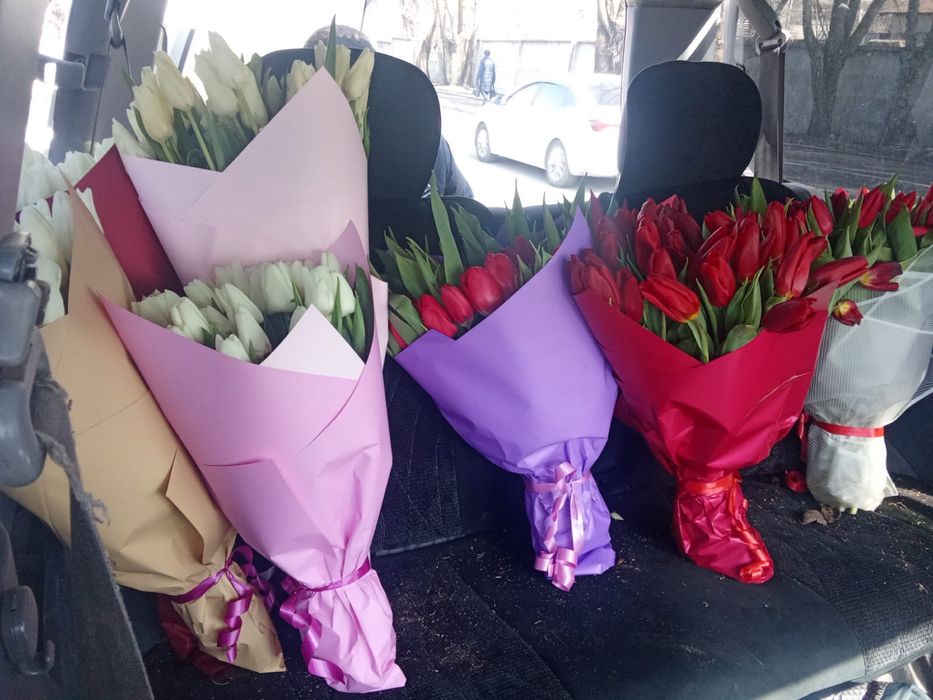 Тюльпан букет 55