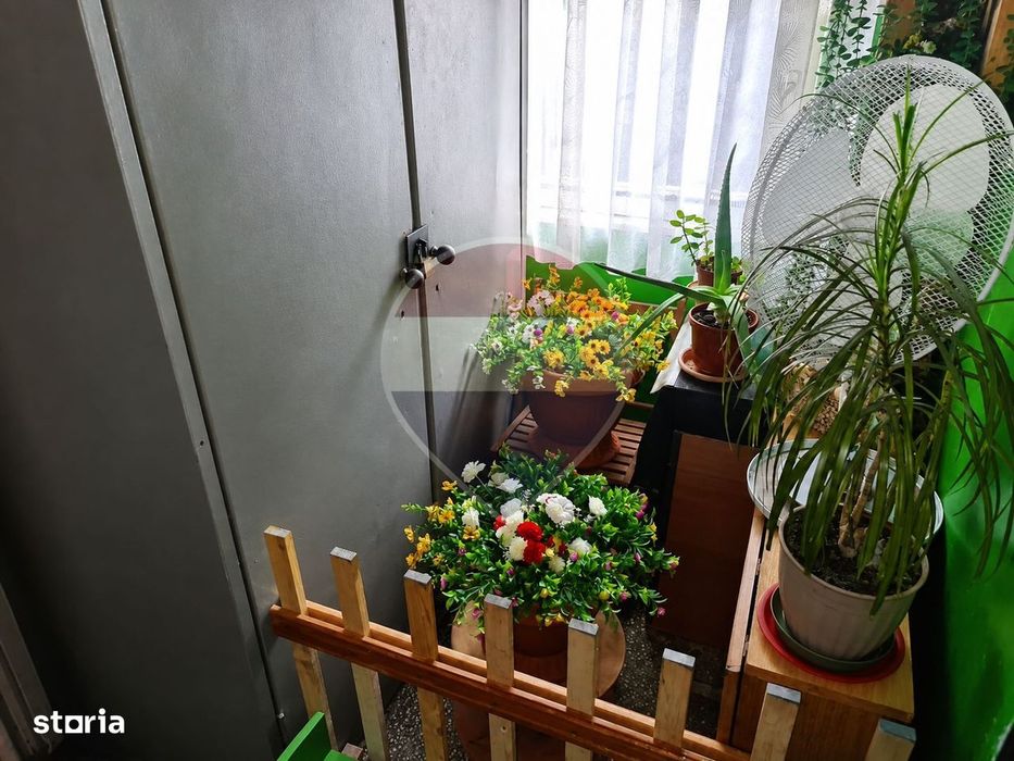 Cameră de cămin – Zonă ultracentrală