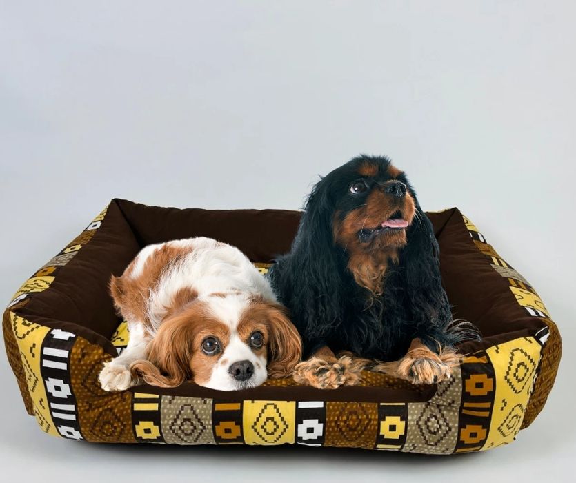 Легла за домашни любимци