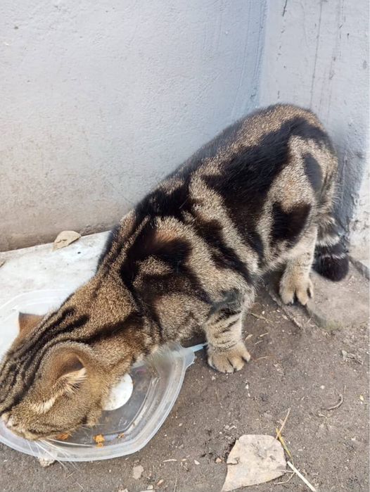 В надежные руки