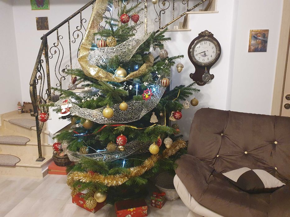 Casă primitoare Tunari