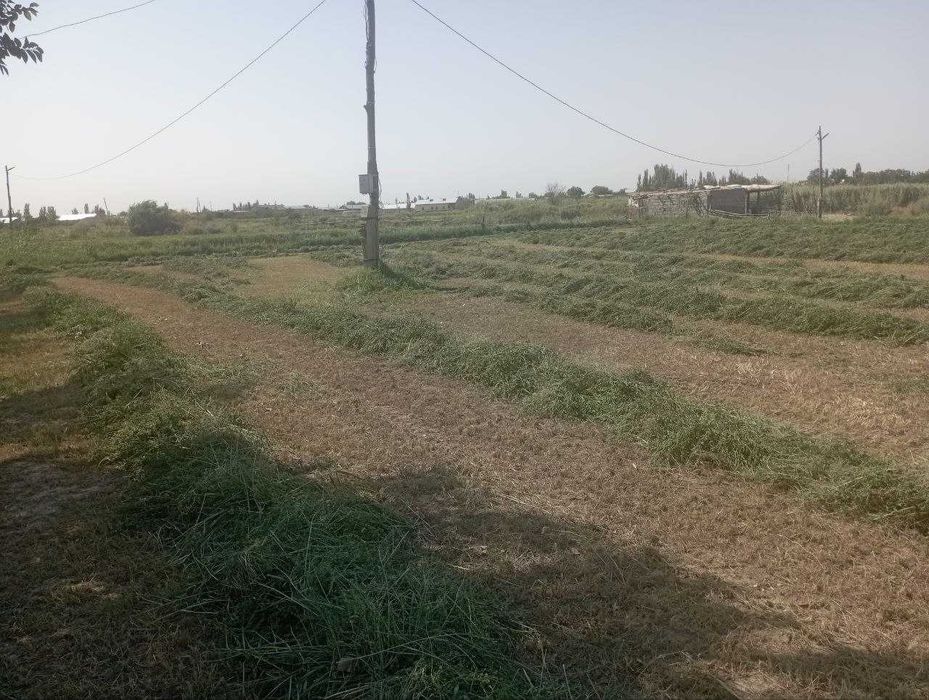 Исталган бизнесга мулжалланган (Чорва, балик ва б.) ер майдони сотилад
