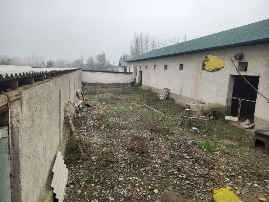 Oziq ovqat don maxsulotlarini qayta ishlash bino va inshoatlari