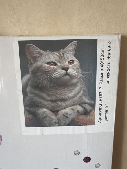 Алмазная картина с котиками