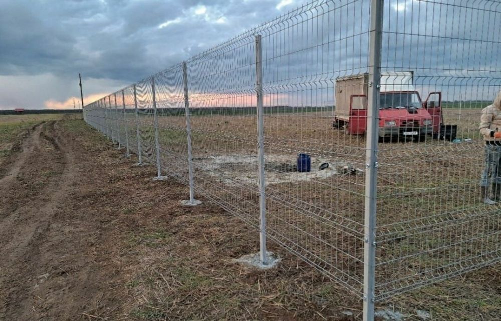 Vand garduri din plasa bordurata