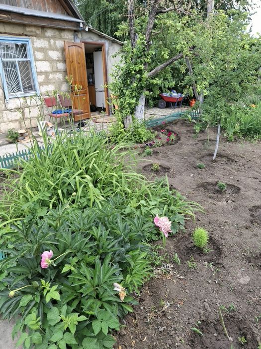 Продам дачу ск локомотивное 10