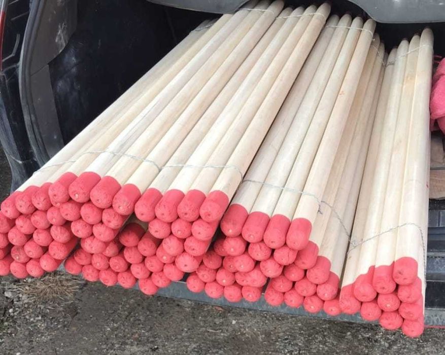 Vând Cozi de lopată