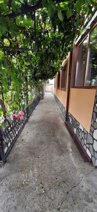 Casă de vânzare P+1