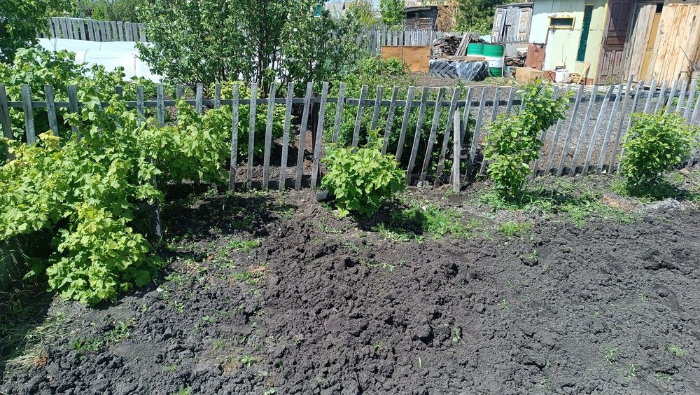 Продам дачу в дачном кооперативе Мотор-Комета