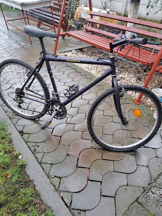 Biciclete stare bună