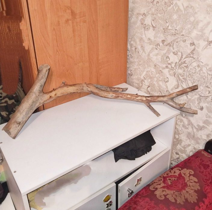 Коряга в аквариум большая