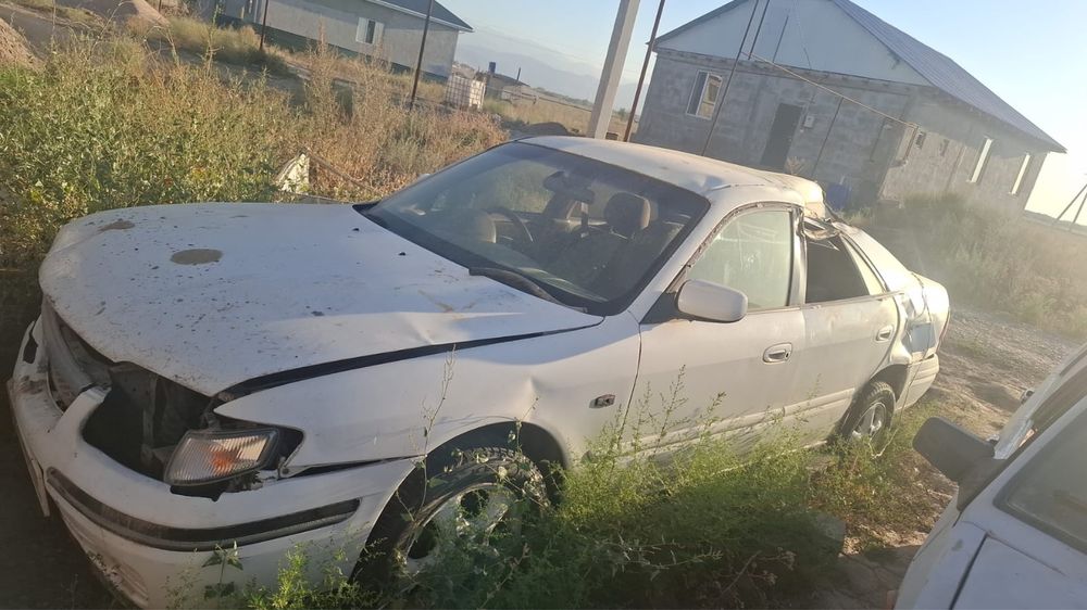 Мазда 626 птичка