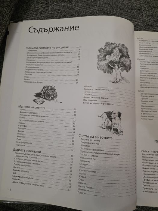 Изкуството да рисуваш
