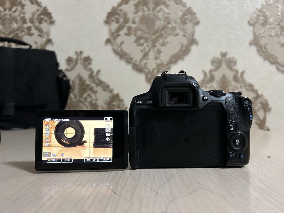 Canon EOS 250D EF-S 18-55 IS STM kit