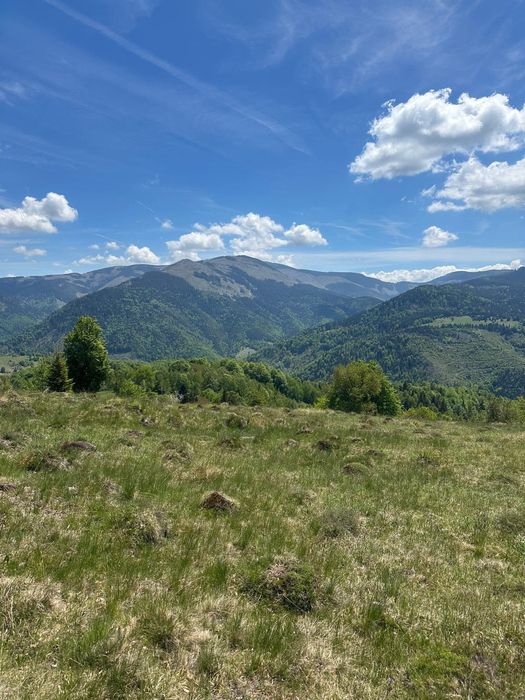 Teren de vânzare